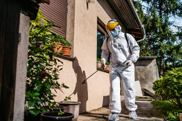 Best Pest Inspection Near Me  in San Carlos, TX