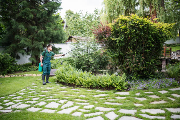 Best Affordable Pest Control Services  in San Carlos, TX
