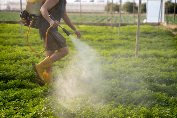 Best Pest Removal Services  in San Carlos, TX