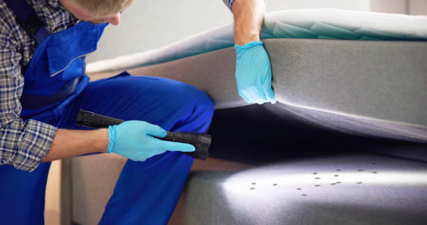 Best Cockroach Control Services  in San Carlos, TX