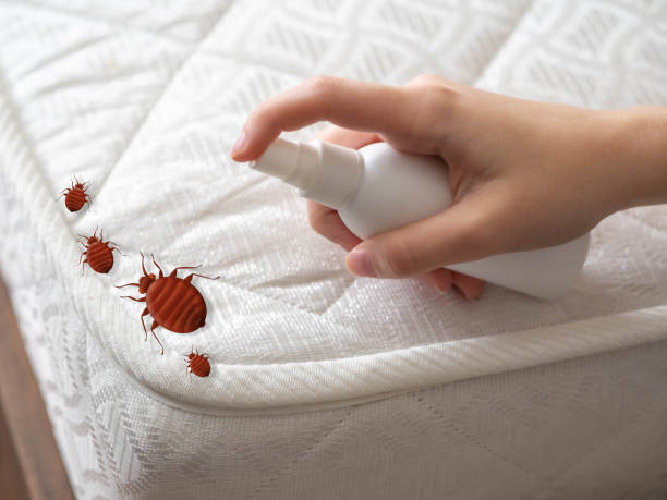Best Best Pest Control Companies  in San Carlos, TX
