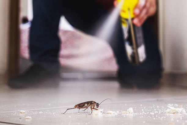 Pest Control Cost in San Carlos, TX