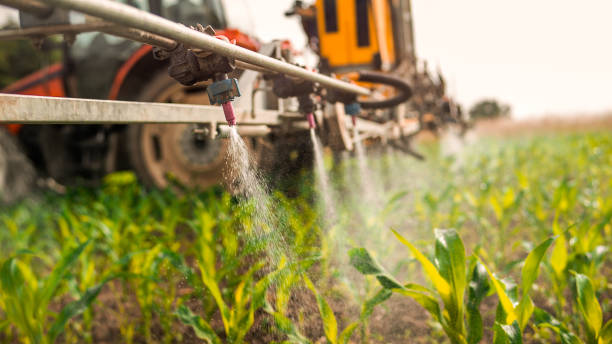 Best Mosquito Control Services  in San Carlos, TX