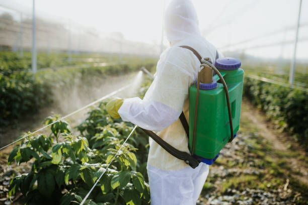 Pest Control for Restaurants in San Carlos, TX